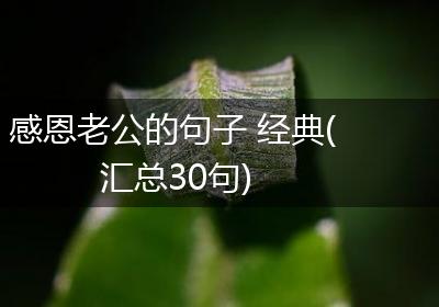感恩老公的句子 经典(汇总30句)