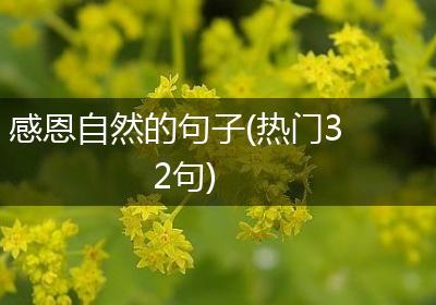 感恩自然的句子(热门32句)