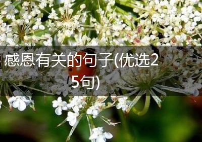 感恩有关的句子(优选25句)
