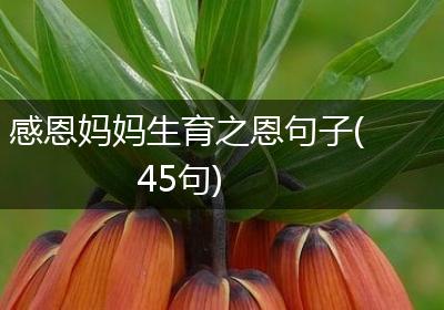 感恩妈妈生育之恩句子(45句)