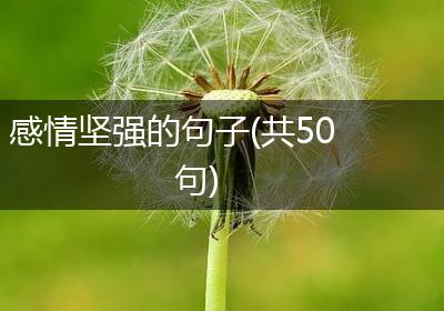 感情坚强的句子(共50句)