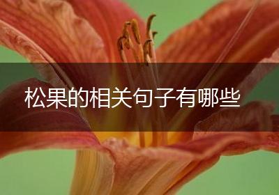 松果的相关句子有哪些