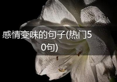 感情变味的句子(热门50句)