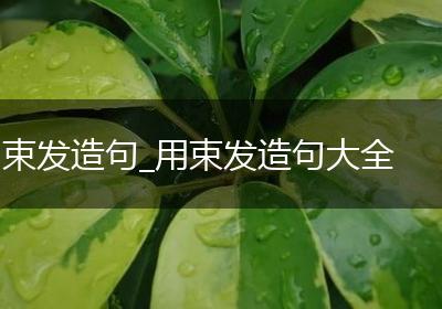 束发造句_用束发造句大全