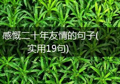 感慨二十年友情的句子(实用19句)