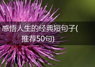 感悟人生的经典短句子(推荐50句)
