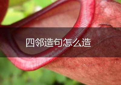 四邻造句怎么造