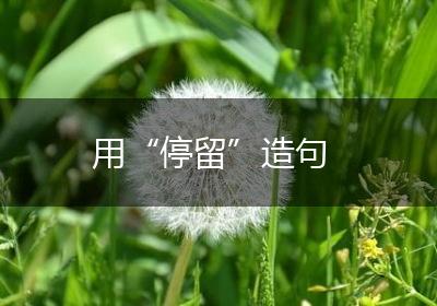 用“停留”造句