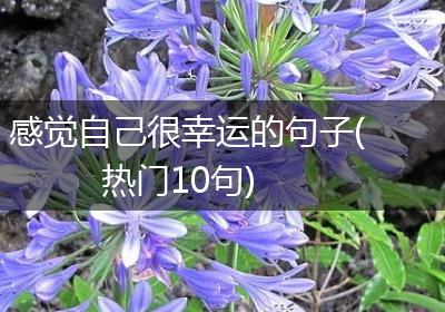 感觉自己很幸运的句子(热门10句)
