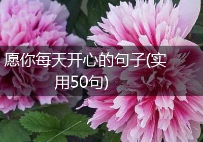 愿你每天开心的句子(实用50句)