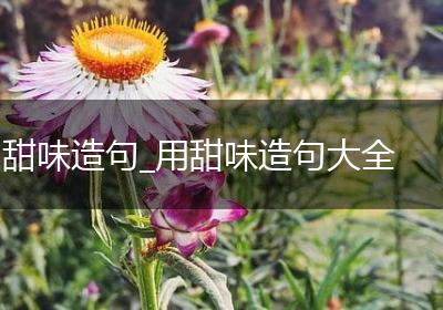 甜味造句_用甜味造句大全