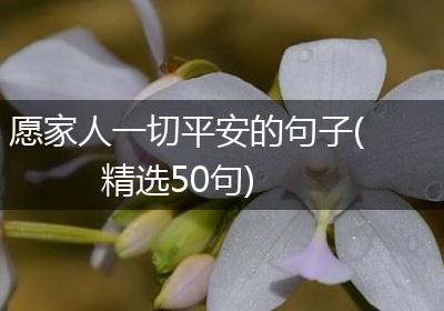 愿家人一切平安的句子(精选50句)