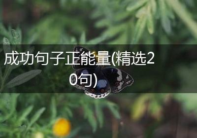 成功句子正能量(精选20句)