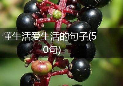 懂生活爱生活的句子(50句)