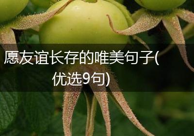愿友谊长存的唯美句子(优选9句)