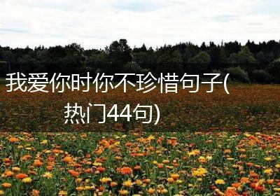 我爱你时你不珍惜句子(热门44句)