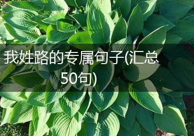 我姓路的专属句子(汇总50句)