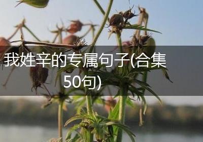 我姓辛的专属句子(合集50句)