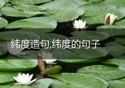 纬度造句,纬度的句子
