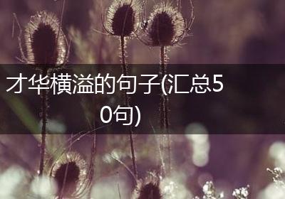 才华横溢的句子(汇总50句)