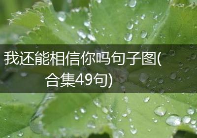我还能相信你吗句子图(合集49句)