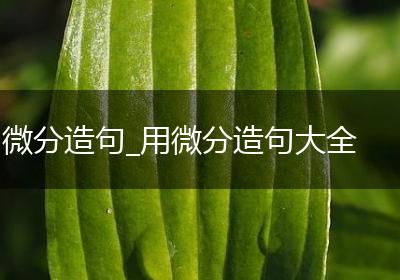 微分造句_用微分造句大全