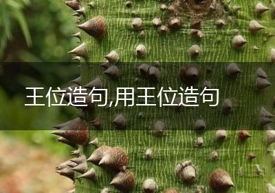 王位造句,用王位造句