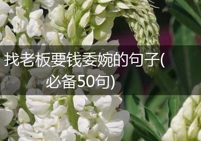 找老板要钱委婉的句子(必备50句)