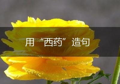 用“西药”造句