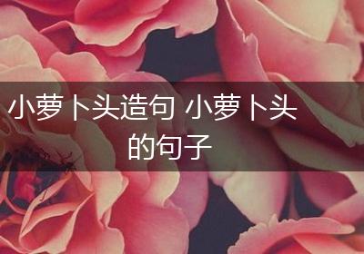小萝卜头造句 小萝卜头的句子