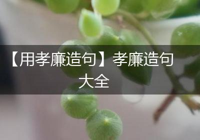 【用孝廉造句】孝廉造句大全