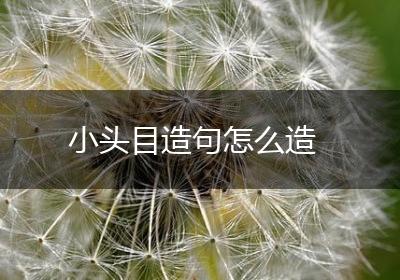 小头目造句怎么造