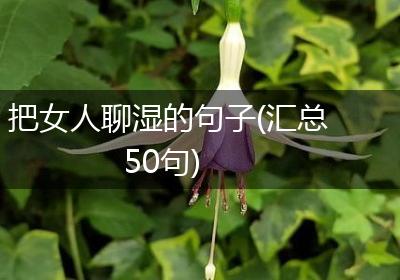 把女人聊湿的句子(汇总50句)