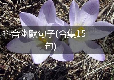 抖音幽默句子(合集15句)