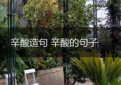 辛酸造句 辛酸的句子
