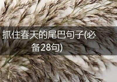 抓住春天的尾巴句子(必备28句)