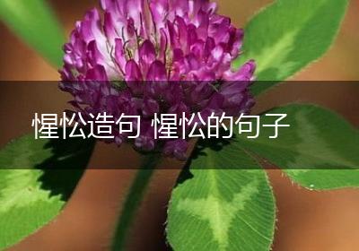 惺忪造句 惺忪的句子