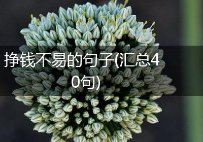 挣钱不易的句子(汇总40句)
