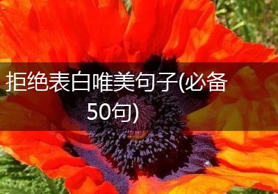 拒绝表白唯美句子(必备50句)