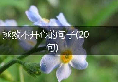 拯救不开心的句子(20句)