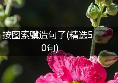 按图索骥造句子(精选50句)