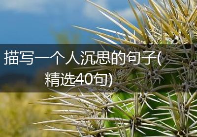 描写一个人沉思的句子(精选40句)