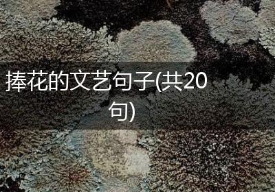 捧花的文艺句子(共20句)