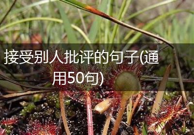 接受别人批评的句子(通用50句)