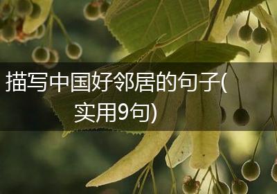 描写中国好邻居的句子(实用9句)
