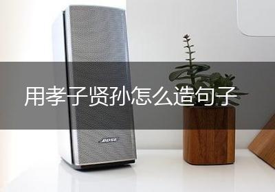 用孝子贤孙怎么造句子