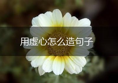 用虚心怎么造句子