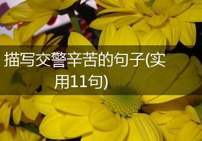 描写交警辛苦的句子(实用11句)