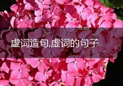 虚词造句,虚词的句子