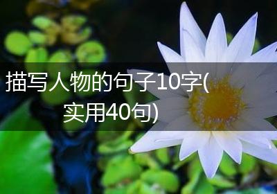 描写人物的句子10字(实用40句)